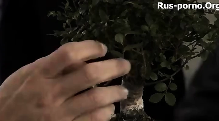 Горячая оргия с влажными дырками и соблазнительными сосочками